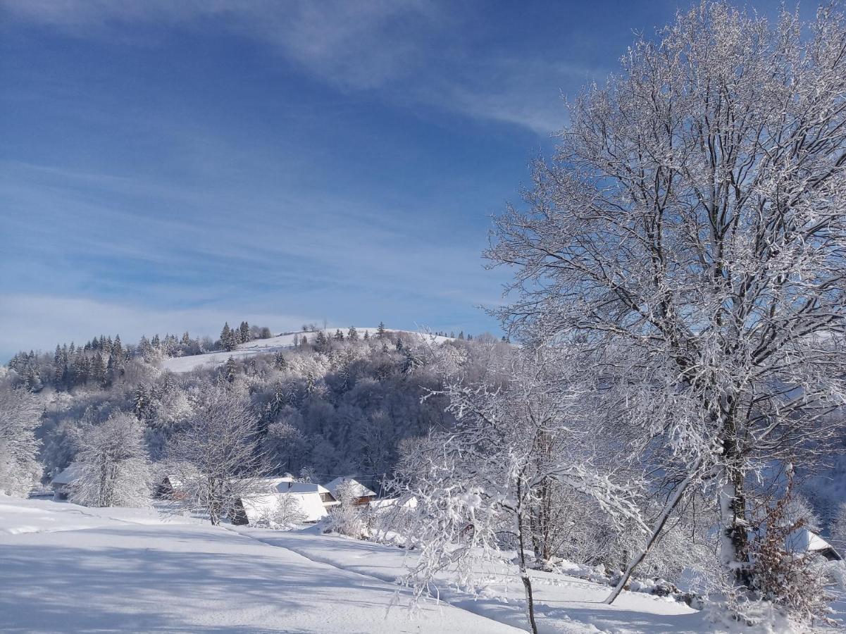 Верховинський Котедж Bukovets Exterior foto